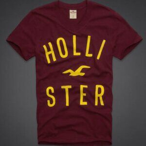 Hollister Co. Desert Springs V Neck Tee NWT